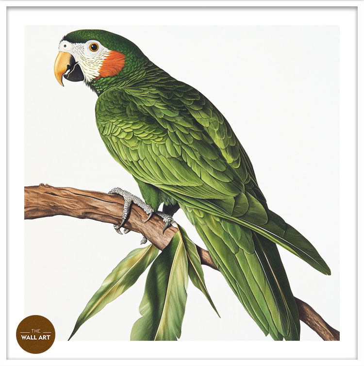 images/products/green_parrot_on_branch/green_parrot on branch_WHITE_PWB.jpg